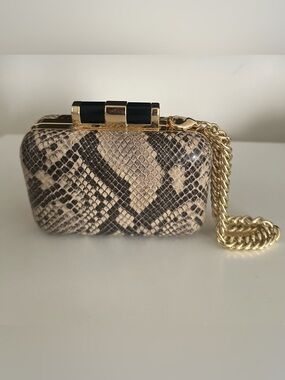 C. Wonder Neutral Snake-Print Hardcase Clutch with Gold Chain